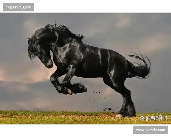 云南玉昆排名跃升至第8 刷新升班马最佳纪录 云南玉昆排名跃升至第8 刷新升班马最佳纪录